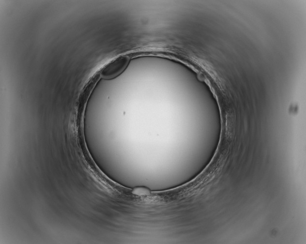 X0000100201452200806131219