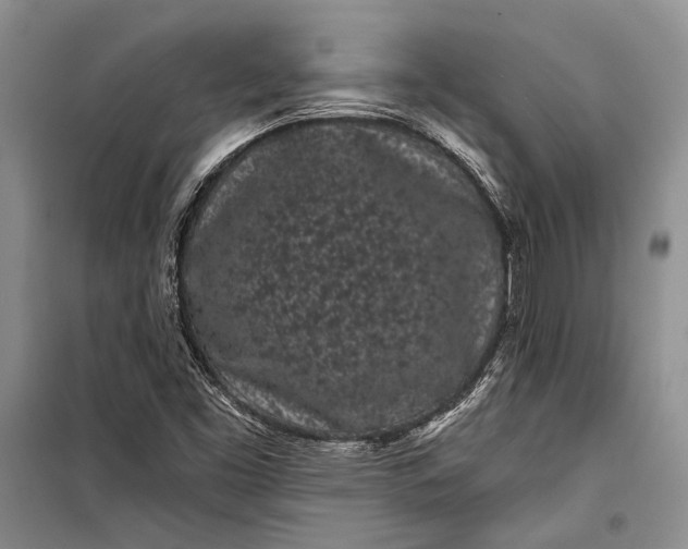 X0000100201453200806131219