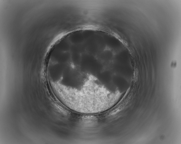 X0000100201454200806131219