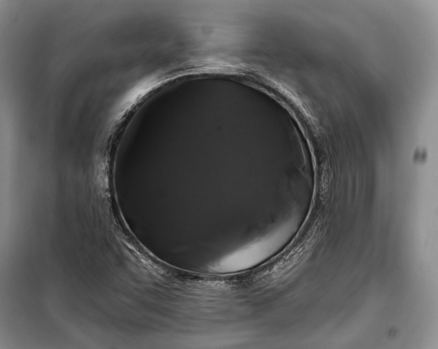 X0000100201455200806131219