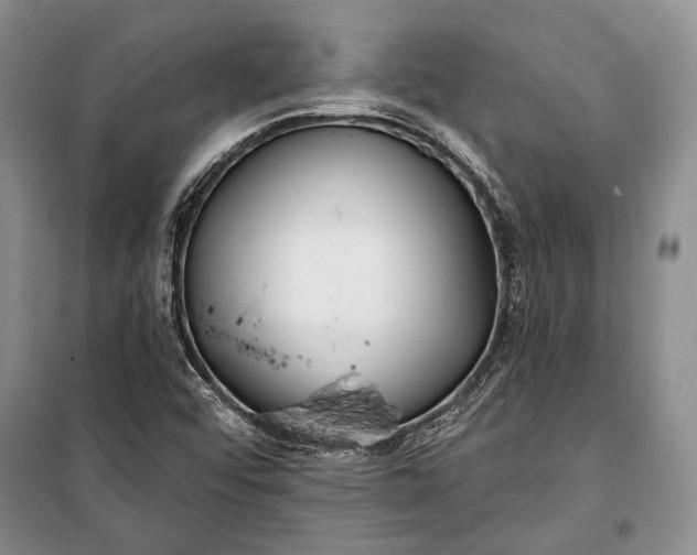 X0000100201456200806131219