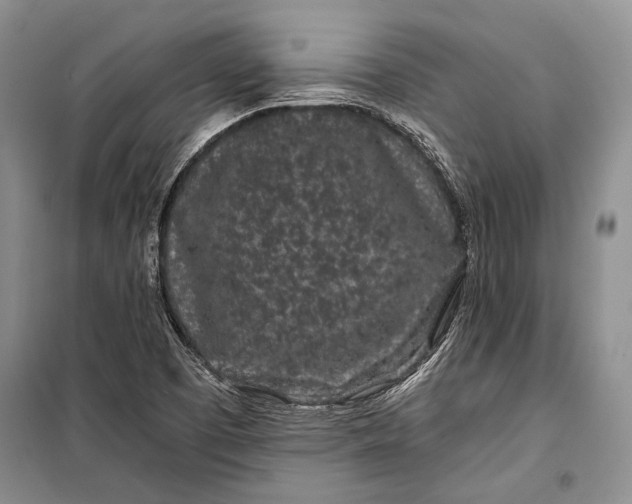 X0000100201457200806131219