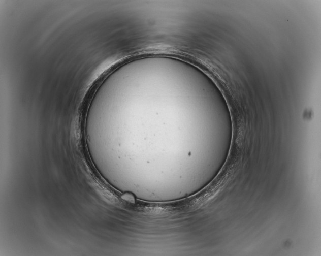 X0000100201458200806131219