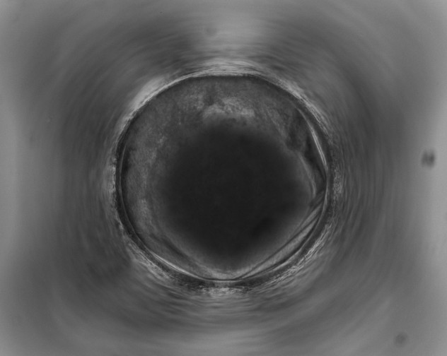 X0000100201459200806131219