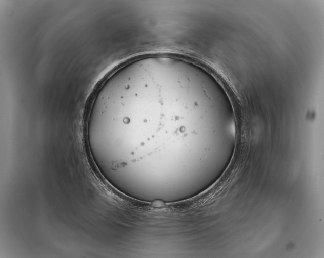 X0000100201460200806131219