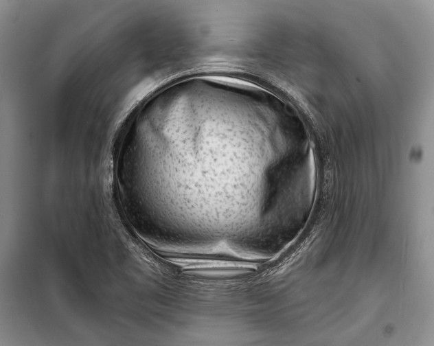 X0000100201461200806131219