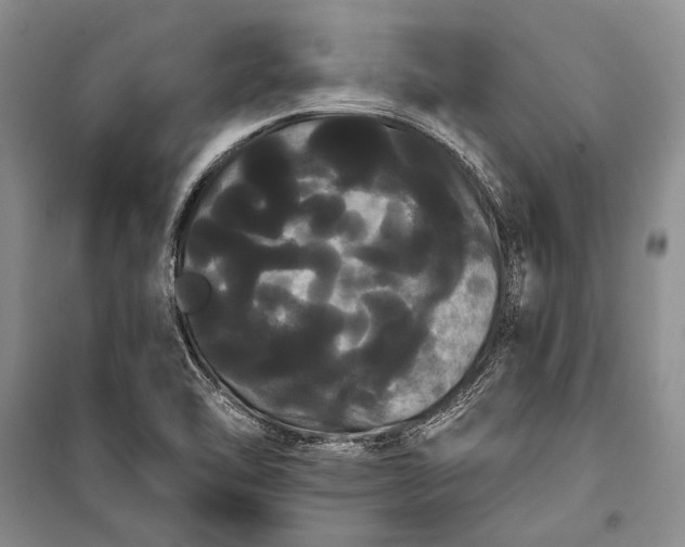 X0000100201462200806131219