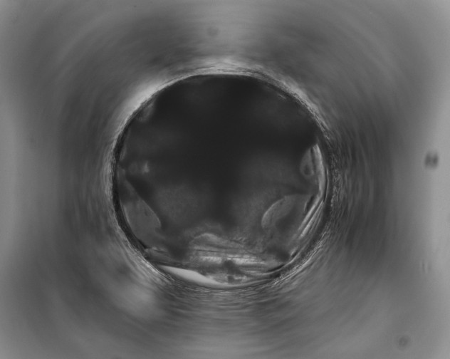 X0000100201463200806131219