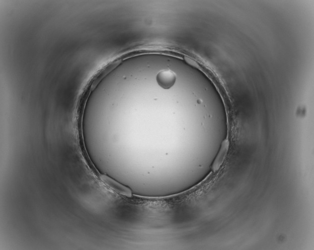 X0000100201464200806131219