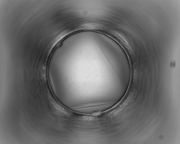 X0000100201465200806131219