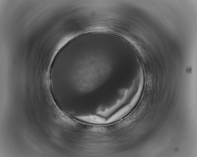 X0000100201466200806131219