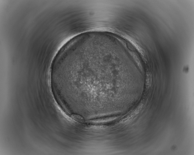 X0000100201468200806131219