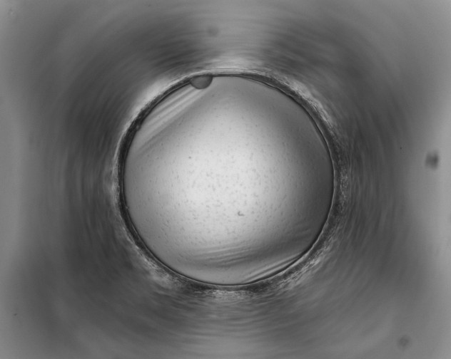 X0000100201469200806131219