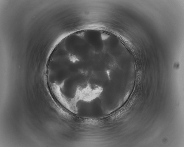 X0000100201470200806131219