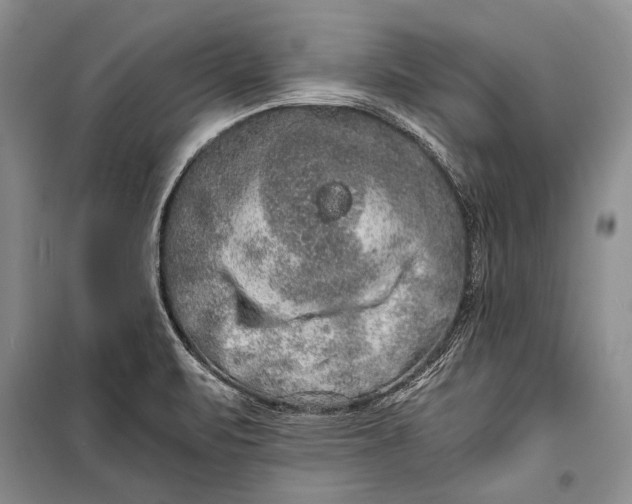 X0000100201471200806131219