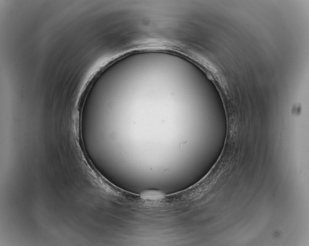 X0000100201472200806131219