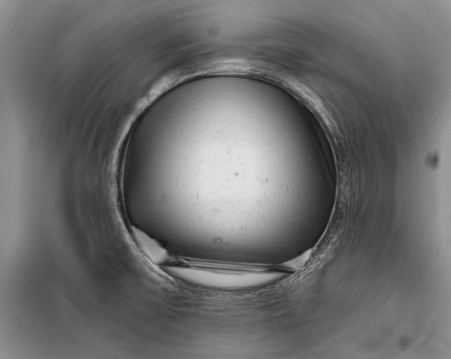 X0000100201475200806131219