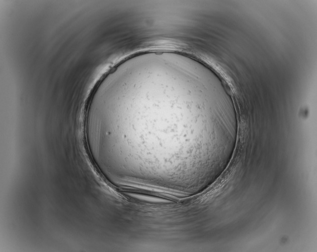 X0000100201477200806131219