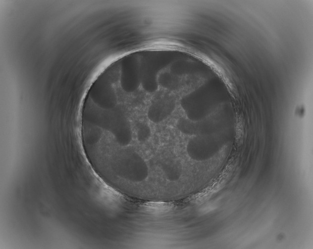 X0000100201478200806131219