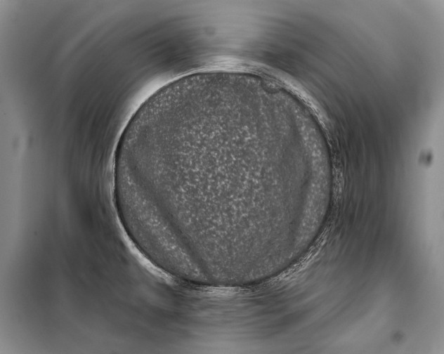 X0000100201479200806131218