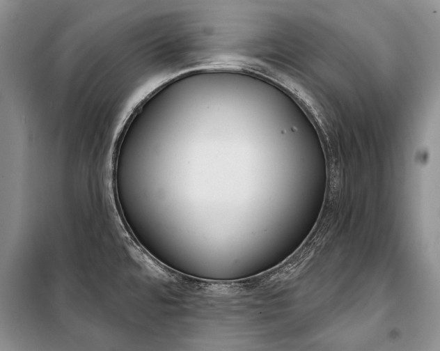 X0000100201480200806131218