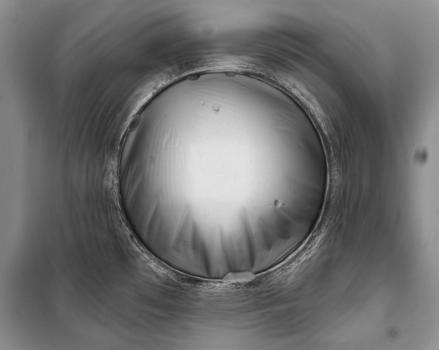 X0000100201481200806131218