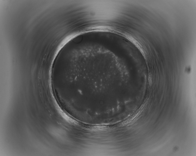 X0000100201482200806131218