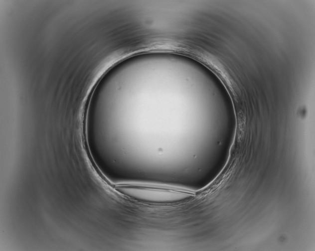 X0000100201483200806131218