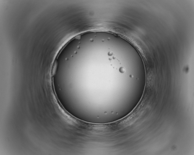 X0000100201484200806131218