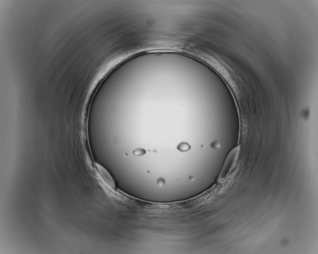 X0000100201485200806131218