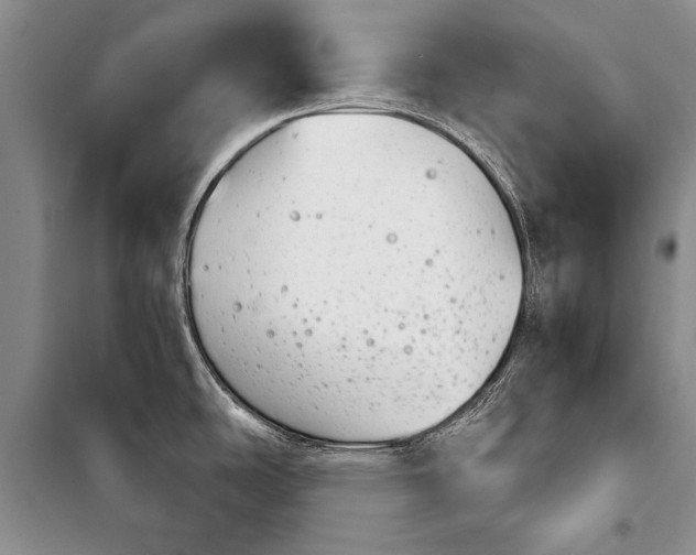 X0000100201486200806131218