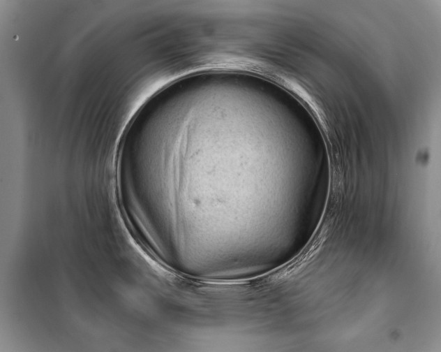 X0000100201487200806131218