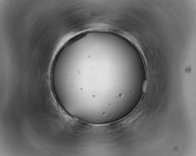 X0000100201488200806131218