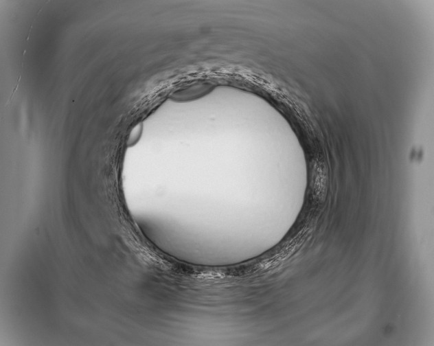 X0000100201489200806131218