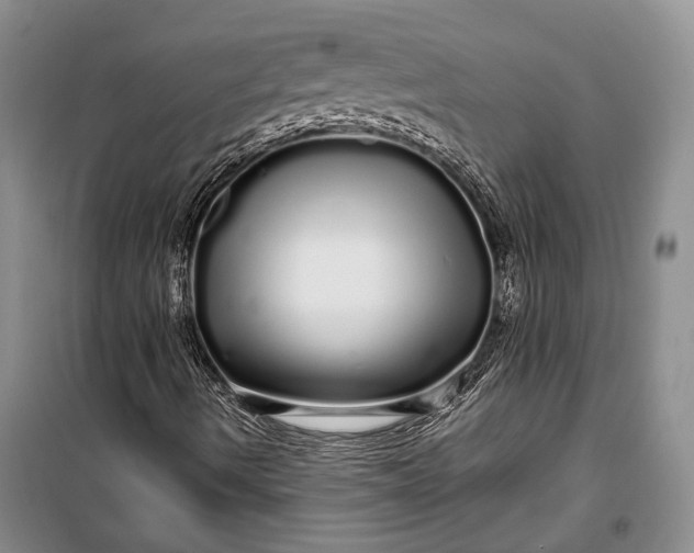 X0000100201490200806131218