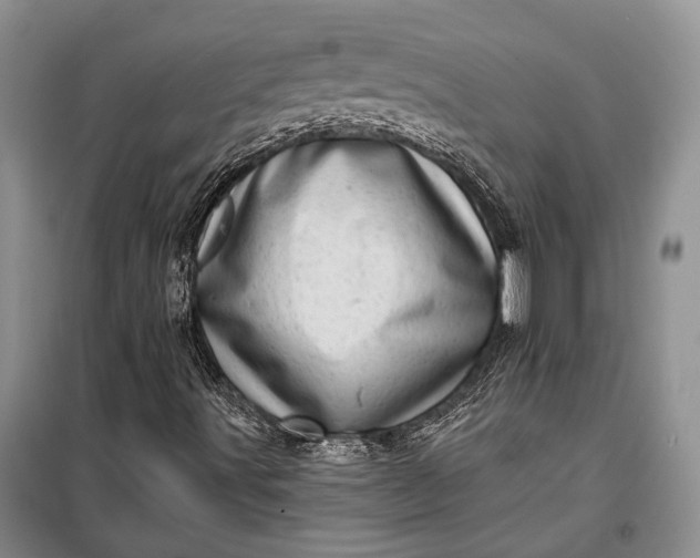 X0000100201491200806131218