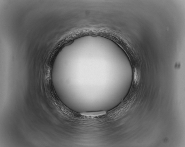 X0000100201492200806131218