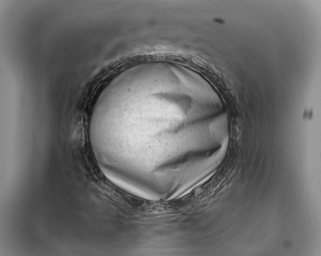 X0000100201493200806131218