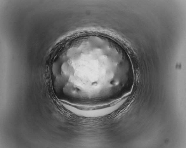 X0000100201494200806131218