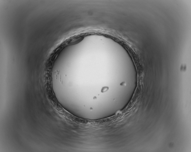 X0000100201496200806131218