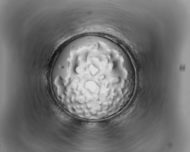 X0000100201497200806131218