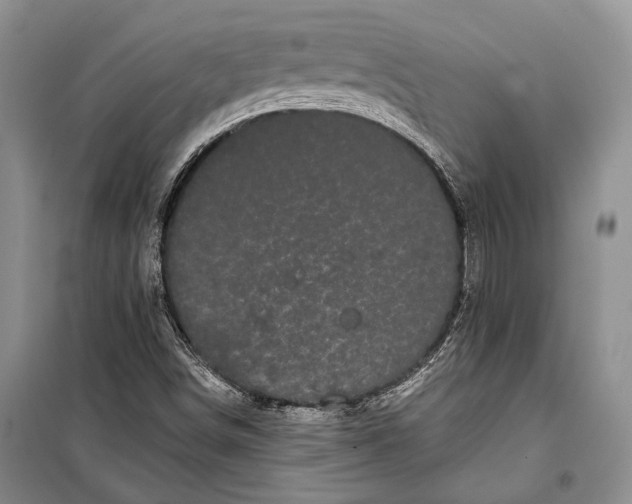 X0000100201498200806131218