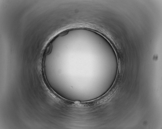 X0000100201500200806131218