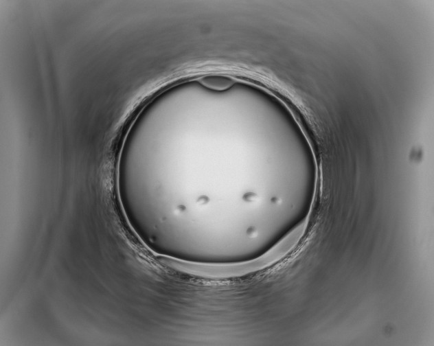 X0000100201501200806131218