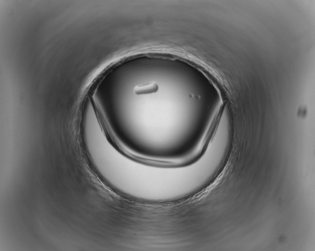 X0000100201502200806131218