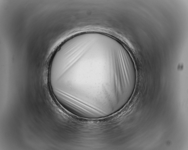 X0000100201504200806131218