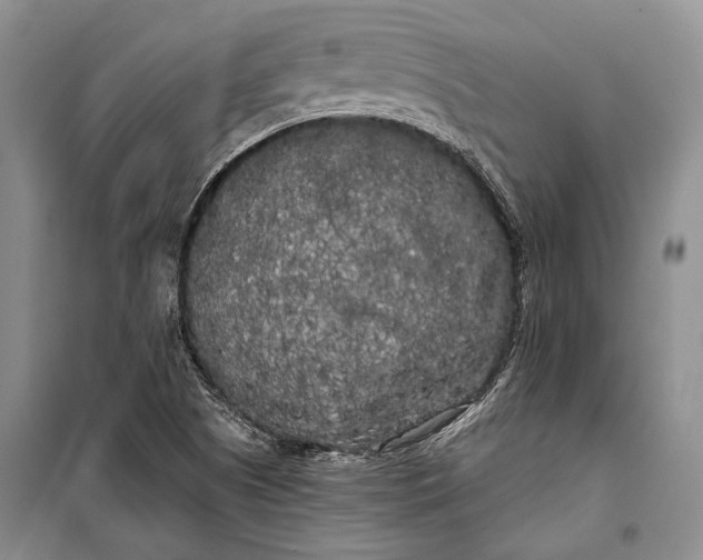 X0000100201505200806131218