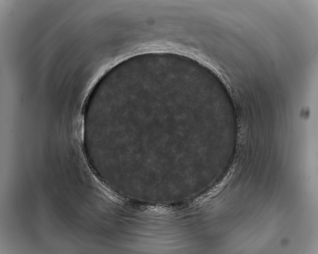 X0000100201509200806131218