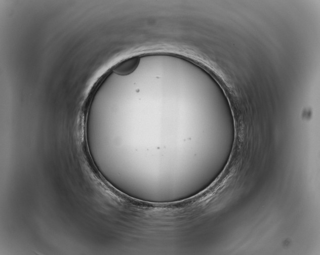 X0000100201510200806131218