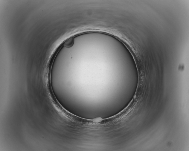 X0000100201511200806131218